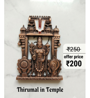 Divine Lord Venkateswara Temple Arch Idol